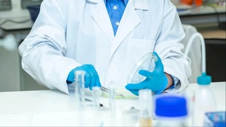 Япония пишиб етиш вақтини назорат қилиш мумкин бўлган қовун навини яратди