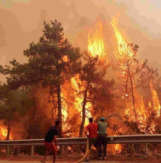 Turkiyada yana oʻrmonlar yonmoqda