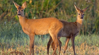 ЮНЕП: за последнее десятилетие площадь охраняемых природных территорий увеличилась на 42 процента