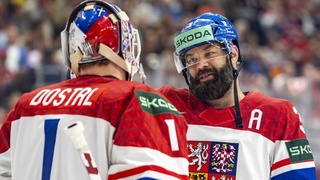 Чехия обыграла Швейцарию в финале чемпионата мира по хоккею