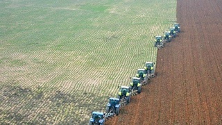 Доимо эл-юрт хизматида