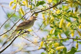 Пешгӯии обу ҳаво барои 28 март