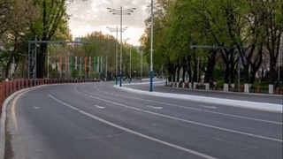 Бугун жаҳон миқёсида автомобилсиз кун сифатида нишонланмоқда