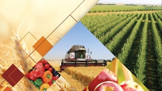 “Agroplatforma” axborot tizimi joriy etiladi