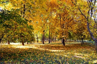 Пешгӯии обу ҳаво барои 25 октябр