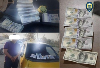 Фрибгарлар ушланди