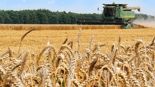 Богатый урожай - залог продовольственной безопасности