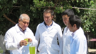 Xlorella yashil suv o‘ti asosida preparat ishlab chiqildi