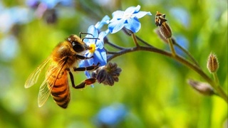 Ертең 37 градус ыстық болады