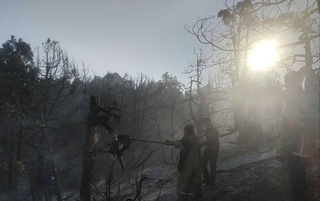 В Байсунском районе ликвидирован пожар на площади 3 гектара, возникший у можжевеловых лесов