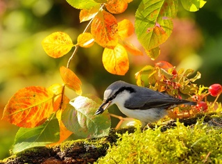 Прогноз погоды на день 9 ноября