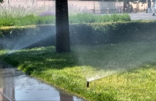 Bu hafta ayrim joylarda +40 daraja issiq boʻladi