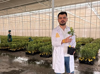 В Карманинском районе Навоийской области заложена плантация голубики