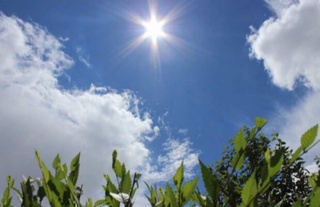 Ўзбекистонда 7 июнь куни 42 даражагача иссиқ бўлиши кутилмоқда