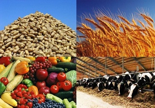 «Uzagrostar xolding» займется специализацией приусадебных земель и дехканских хозяйств