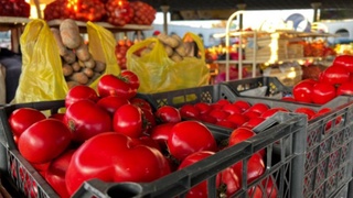 Yanvar-sentyabr oylarida O'zbekiston xorijga 831 million AQSH dollariga teng bo'lgan meva-sabzavotlarni eksport qildi