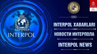 Попытка скрыться за рубежом не помогла: находившийся в международном розыске обвиняемый в мошенничестве возвращен в Узбекистан