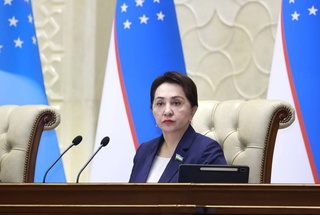 Законом устанавливается порядок выдачи охранного ордера детям, пострадавшим от насилия