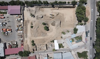 Самарқандда 5 туп қимматбаҳо дарахт таги билан йўқ қилинди