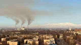 Havoning ifloslanishida mazutning “aybi” yoʻq — Energetika vazirligi