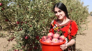 Сельское хозяйство: качественно новый этап развития