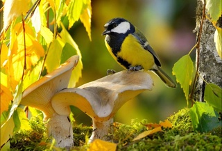 Прогноз погоды на 17 сентября