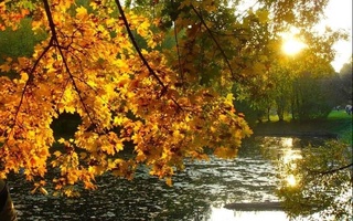 Прогноз погоды на 27 ноября