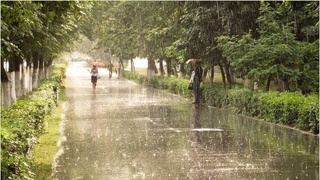 Weather forecast for May 27