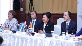 Национальный механизм межведомственного реагирования на случаи гендерного насилия: выводы и результаты