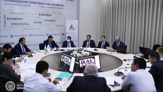 Состоялось заседание Комитета Сената по международным отношениям, внешнеэкономическим связям, иностранным инвестициям и туризму