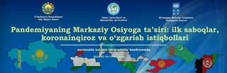 Сенат раҳбарияти ва халқаро тузилмалар вакиллари иштирокида видеоконференция ўтказилади
