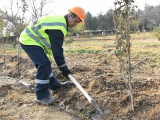 Общенациональный проект «Яшил макон» объединил работников подразделений АО «НГМК»