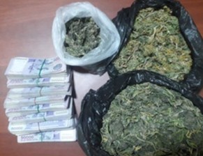 Salkam 1 kilogramm “marixuana”ni sotayotgan shaxs ushlandi