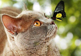 Дар рӯзи истироҳат сокинони Ӯзбекистонро сардии деринтизор нигарон аст