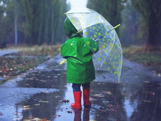 Бүгін күн жаңбырлы болады деп күтілуде