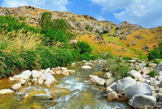 Weather forecast for August 25