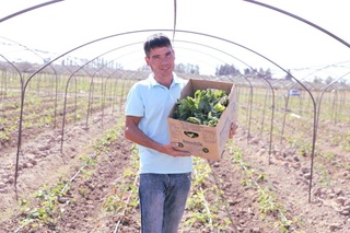 Пискентликлар қулупнайдан йилда уч марта ҳосил олади