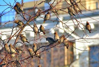 Прогноз погоды на день 7 февраля