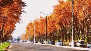 В выходные узбекистанцев ждет потепление до +17 градусов