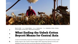 “Paxta boykoti”ning bekor qilinishi xalqaro brendlarning Oʻzbekistonga qaytishi uchun imkoniyat ochmoqda