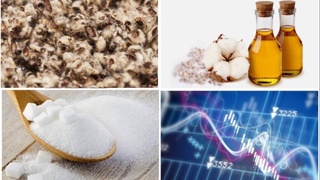 Биржа савдоларида шакар, пахта ёғи ва шулха нархи пасайди