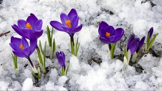 Hafta boshida kutilayotgan ob-havo maʼlumoti eʼlon qilindi