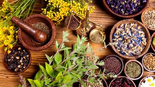 Litsenziyasiz faoliyat yuritgan tabiblarga maʼmuriy javobgarlik belgilanmoqda