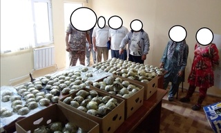 400 дона тошбақани чегарадан яширинча олиб чиқмоқчи бўлганлар тўхтатиб қолинди