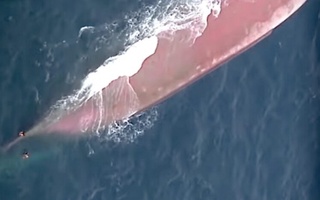 Yaponiyada yaxta va yuk kemasining to'qnashib ketishi oqibatida bir kishi halok bo'ldi, bir necha kishi bedarak yo'qoldi