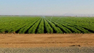 Земле необходимо внимание