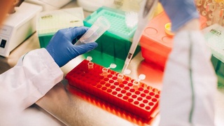 Каракулеводство: перспективы геномной селекции