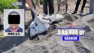 Фарғонада шағал уюмига яширилган қарийб 6 кг “гашиш” фош этилди
