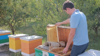 ФАО повышает потенциал пчеловодов в Ферганской долине