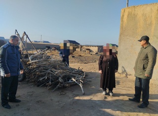 Қашқадарёда саксовул ўсимлигини кесган фуқаро жаримага тортилди